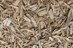biomass boilers Quothquan
